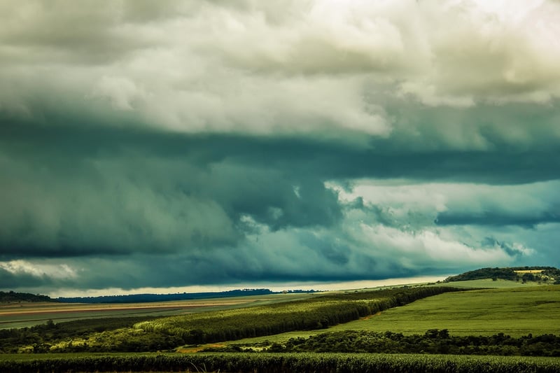 Surviving Temporal Paradoxes